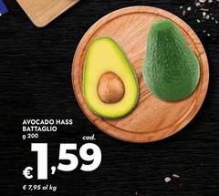 Battaglio - Avocado Hass
