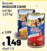 Morando - Miglior Cane Bocconi