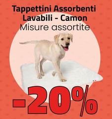 Camon - Tappettini Assorbenti Lavabili