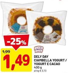 Delyday - Ciambella Yogurt/Yogurt E Cacao