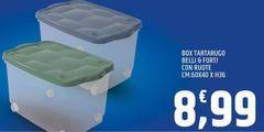 Belli - Box Tartaruga  6 Forti Con Route