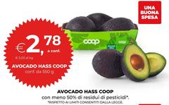 Coop - Avocado Hass