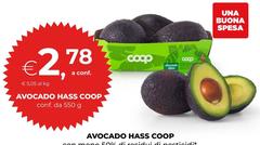 Coop - Avocado Hass