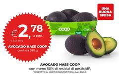 Coop - Avocado Hass