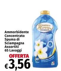 Spuma di Sciampagna - Ammorbidente Concentrato