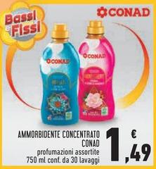 Bassi - Ammorbidente Concentrato