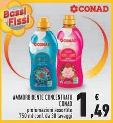 Bassi - Ammorbidente Concentrato