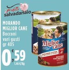 Morando -  Miglior Cane Bocconi