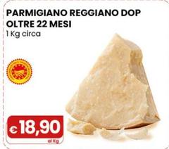 Parmigiano Reggiano DOP Oltre 22 Mesi 1 Kg Circa
