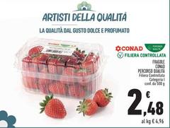 Conad - Fragole Percorso Qualità