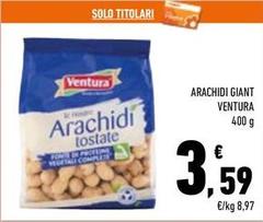 Ventura - Arachidi Giant