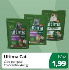 Ultima -  Cat