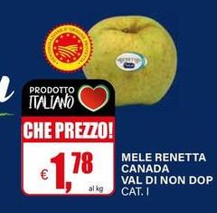 Mele Renetta Canada Val Di Non DOP 
