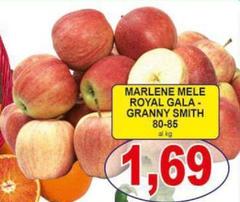 Marlene - Gala - Granny Smith