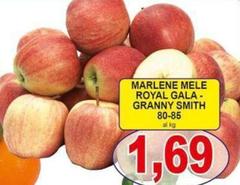Marlene - Gala - Granny Smith