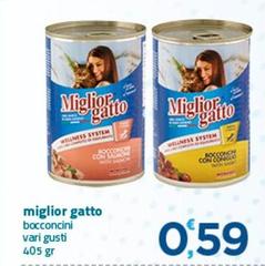 Morando - Miglior Gatto Bocconi