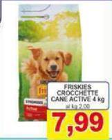 Friskies - Crocchette Cane Active