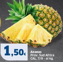 Ananas Prov. Sud Africa