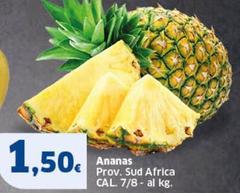 Ananas Prov. Sud Africa
