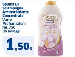 Spuma di Sciampagna - Ammorbidente Concentrato