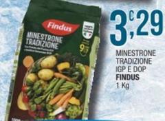 Findus - Minestrone Tradizione IGP