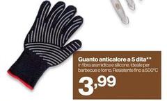 Guanto Anticalor A 5 Dita