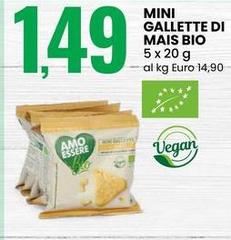 Mini Gallette Di Mais Bio