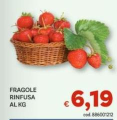 Fragole Rinfusa