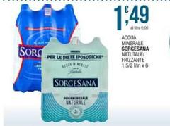 Sorgesana - Acqua Minerale Naturale/ Frizzante