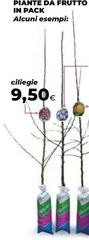 Piante Da Frutto In Pack