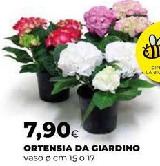Ortensia Da Giardino