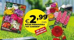 Bulbi Primavera 
