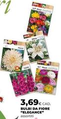 Bulbi Da Fiore 