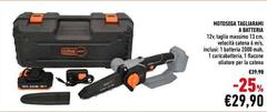 Motosega Tagliarami A Batteria