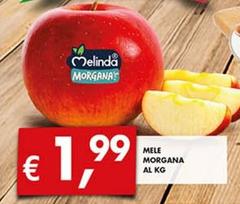 Melinda - Mele Morgana