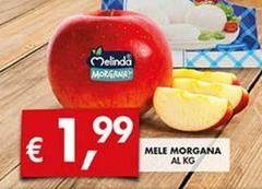 Melinda - Mele Morgana