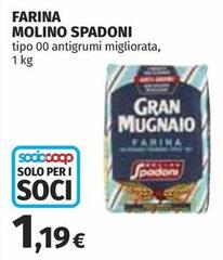 Molino Spadoni - Farina 