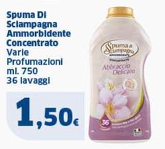 Spuma di Sciampagna - Ammorbidente Concentrato