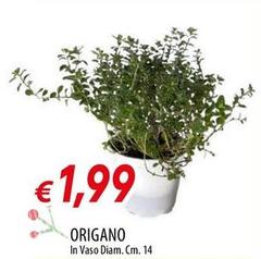 Origano