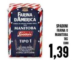 Molino spadoni - Farina O Manitoba