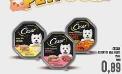 Cesar - Assortiti 