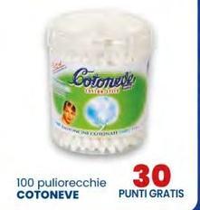 Cotoneve - 100 puliorecchie
