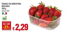 Fragole Da Agricotura Biologica