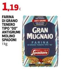 Molino spadoni - Farina Di Grano Tenero Tipo 
