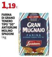 Molino spadoni - Farina Di Grano Tenero Tipo 