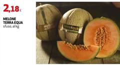 Terra equa - Melone Terra Equa