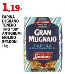 Molino Spadoni - Farina Di Grano Tenero Tipo 