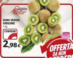 Kiwi Verde Origine