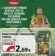Findus - Minestrone Tradizione