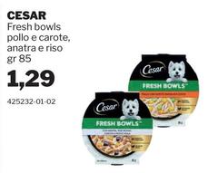Cesar - Fresh Bowls Pollo E Carote